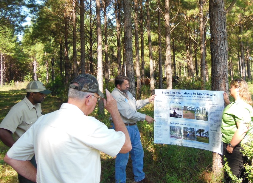 attendees view poster.
