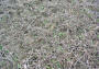 NRCSOH06102sm.jpg (2365358 bytes)