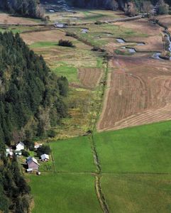 Image: The stretch of Creek in the background is restored; the section in the foreground awaits funding.
