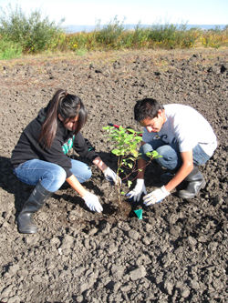 Pajaro Valley High School hard at work on an ARRA project near Watsonville.