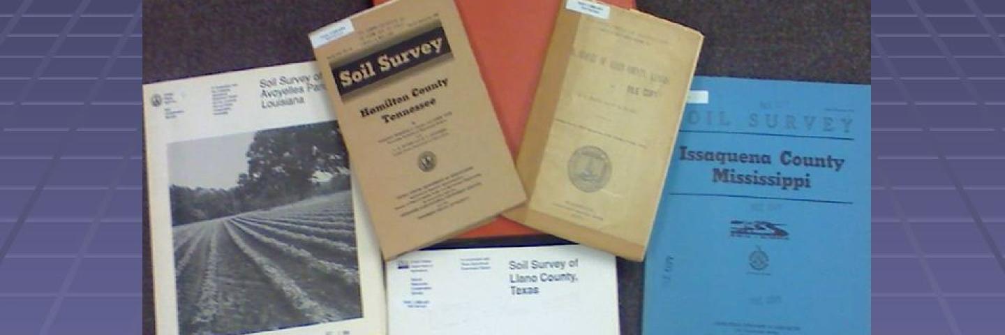 Photo of manuscript covers