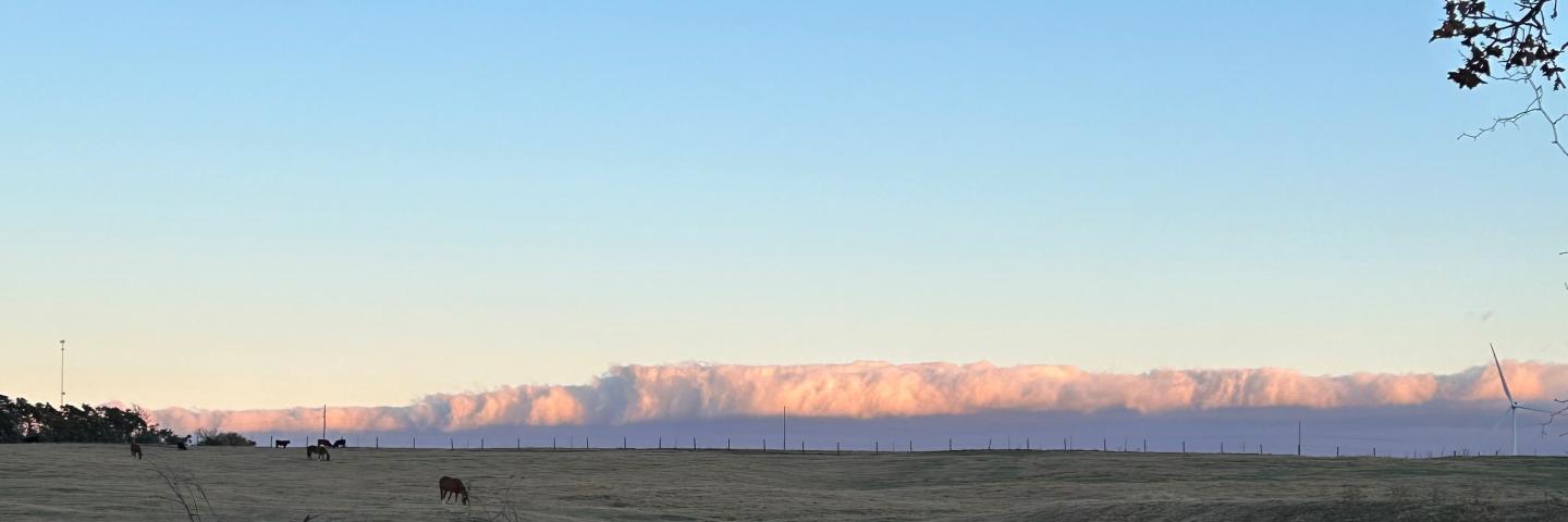 wall of clouds rolling over horse pasture at sunset