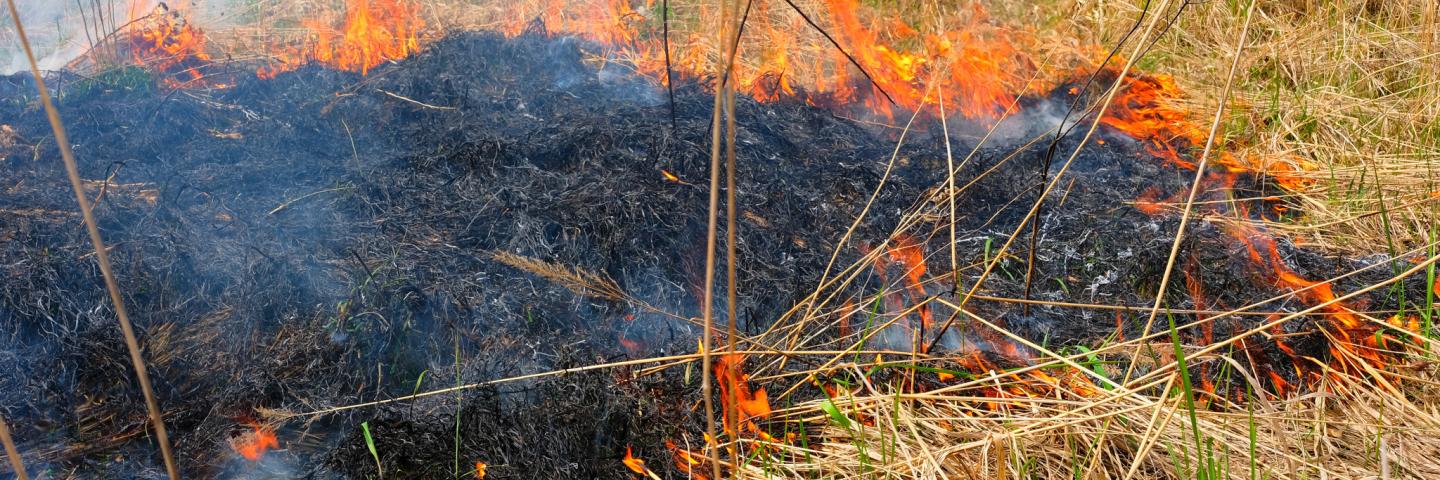Wildfire photo Hero