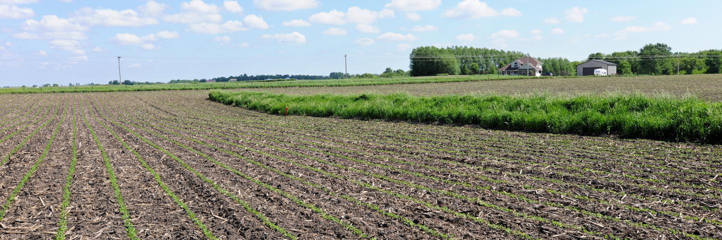 Water Sediment Control Basin