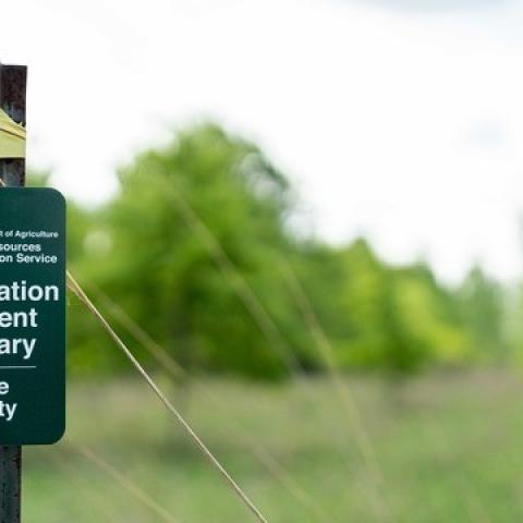 Sign posted for Conservation Easement Boundary