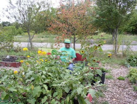 Urban garden project in Wayne County