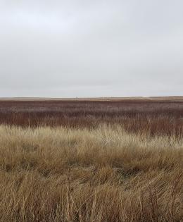 Kansas grassland easment