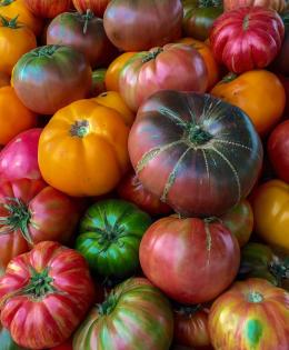 Organic heirloom tomato at the Jack London Square Farmers' Market in Oakland, CA, on Sunday, August 9, 2015. USDA photo by Lance Cheung.
