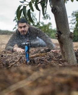 Salvador Prieto gets nearly ground level to see how well this micro-sprinkler is working under one of his avocado trees, in Somis, CA, on Nov 15, 2018.

Salvador Prieto grew up watching and helping his father grow corn and beans on a small farm in Mexico. The journey from bean fields to 20-acre orchard owner with his wife Martha Romero was not a straight and narrow path to Somis, Calif. In fact, it was music that brought him to the United States. Today the passion is agriculture.


Similarly, Romero didn’