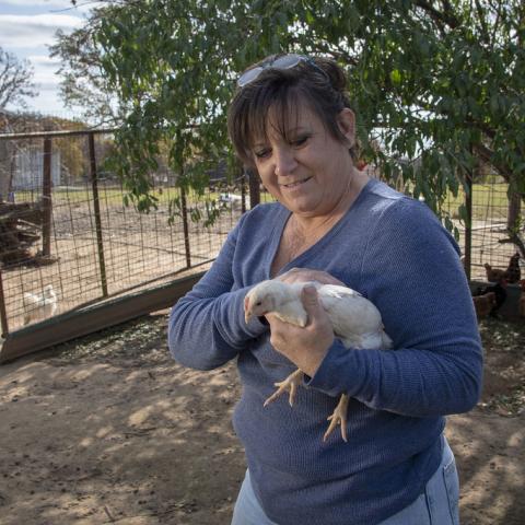Native American farmer and retired teacher Jerri Parker grew up on in agriculture, but now she operates her diversified farm in Cromwell, Oklahoma.
With hoop houses, vegetables, 300 chickens, eggs and beef, she started sell to the public in 2004. 
USDA photo by Preston Keres.

