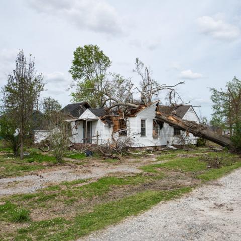 EF4 tornado disaster area in Rolling Fork, MS on April 12, 2023.  Houses and other buildings wait for demolition or repair, while the rubble from demolished homes are taken away, and power line crews work on the grid to make it safe for the area. 
USDA Media by Lance Cheung. 
