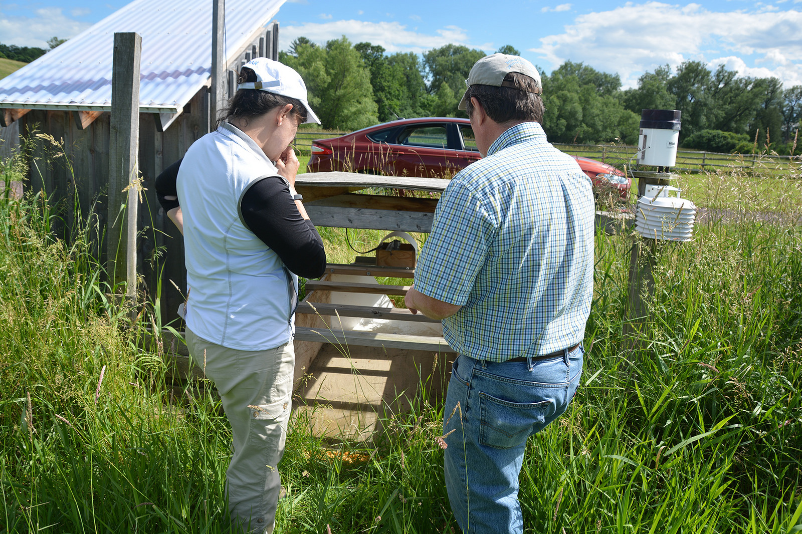 #Fridaysonthfarm: Vermont's Farm to Ballet Project Web Photo 5