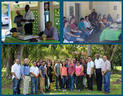 2015 Volunteer Week - Mayaguez activity photo collage