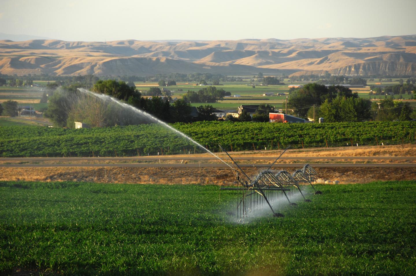 water irrigation field landscape