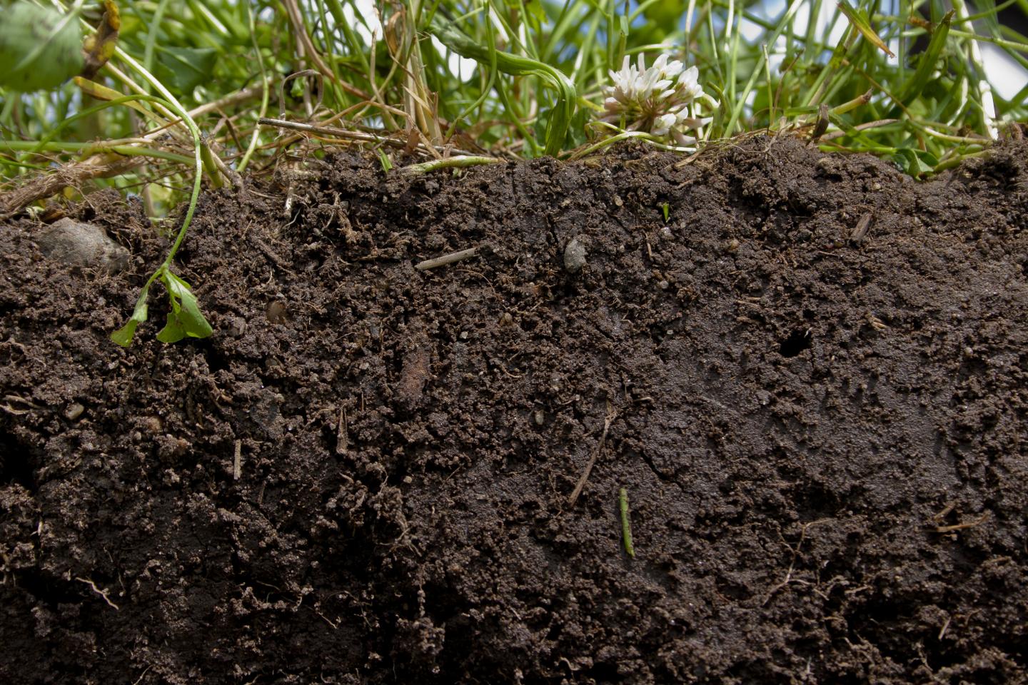 soil health