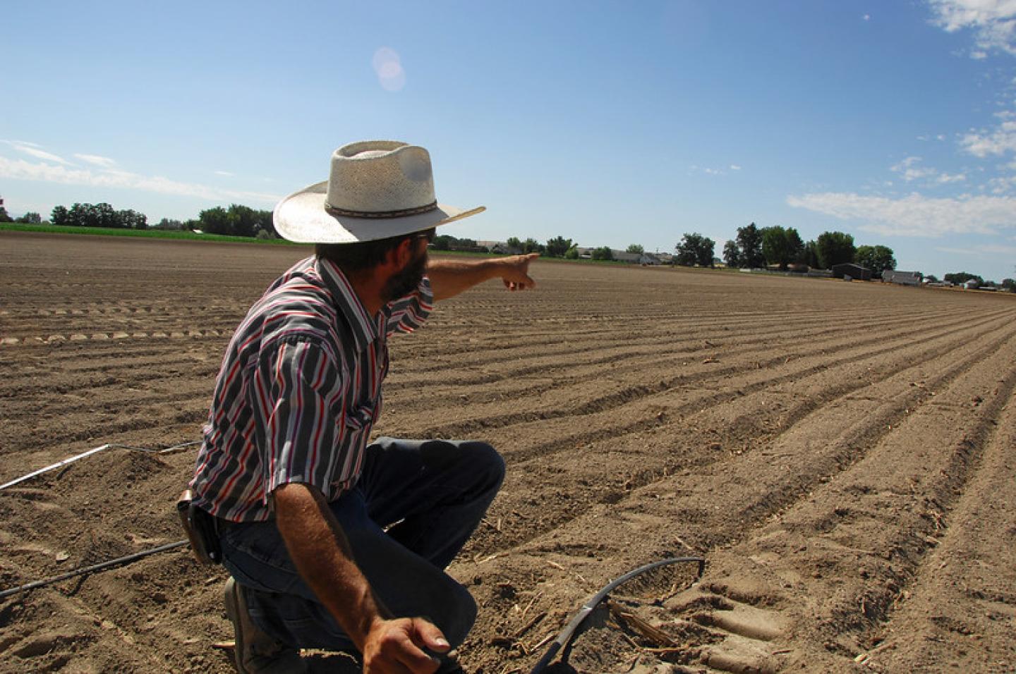 A Fruitland farmer explains a watering method he is using for the first time on a crop of onion seed that he is soon to plant.