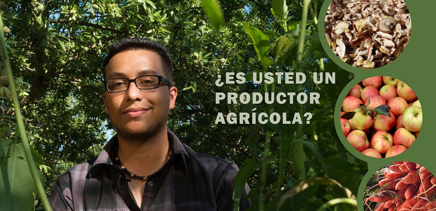 Es Usted Un Productor agricola?