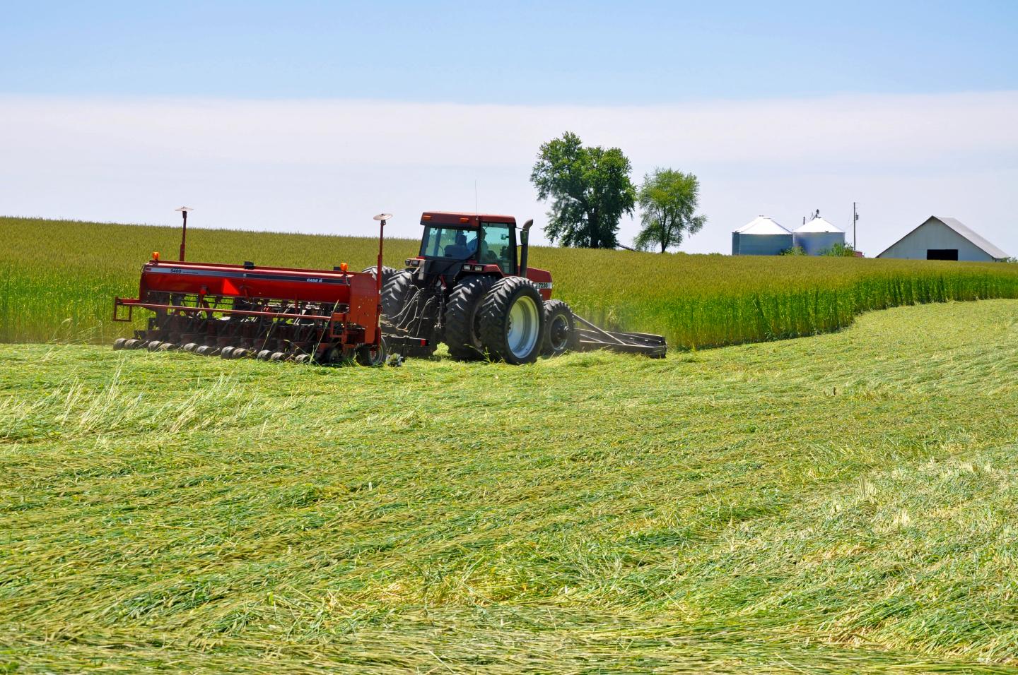 Iowa Farmer crimps cereal rye cover crop