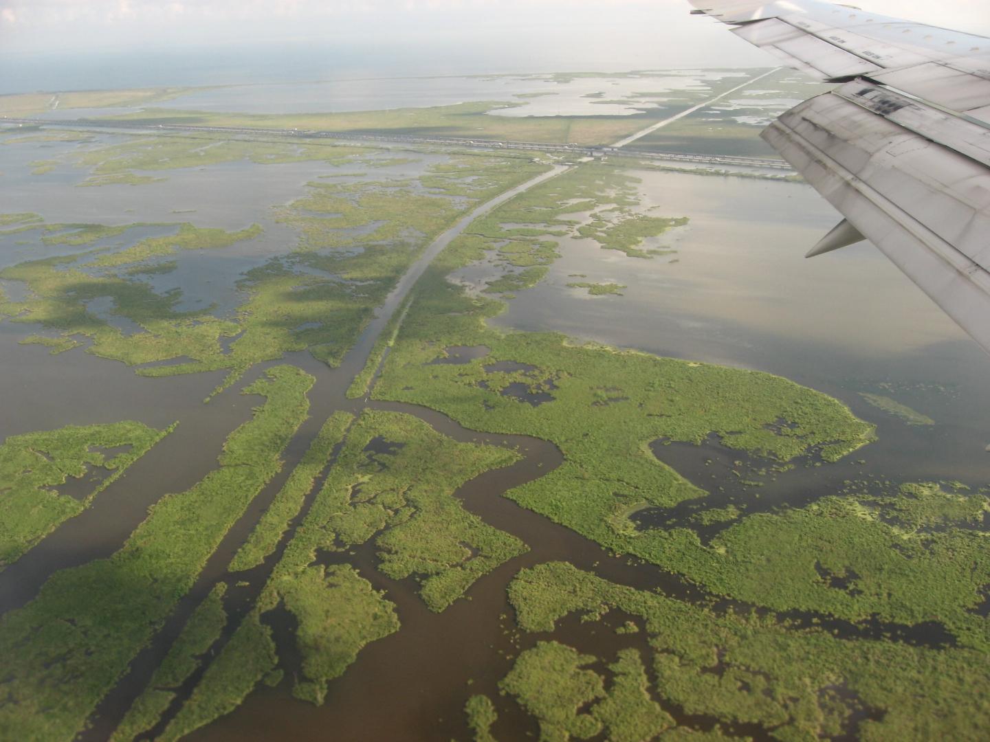 Louisiana Wetland