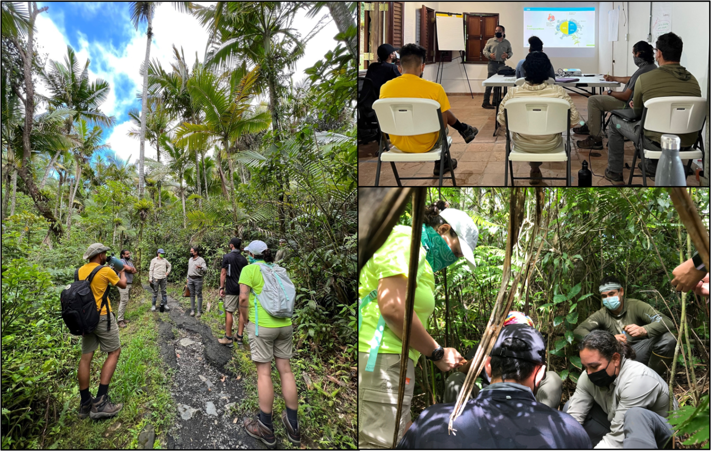 Collage of photos from the Caribbean Soils workshop with El Yunque National Forest interpreters on 1 Nov 2021.