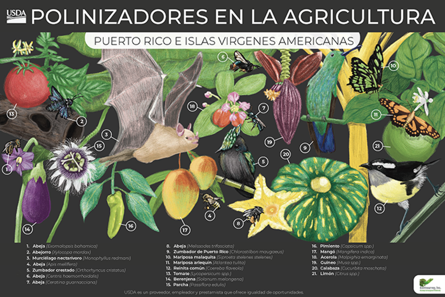 Afiche de Polinizadores en la agricultura