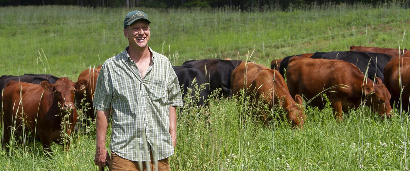 Virginia cattleman in the pasture with his herd