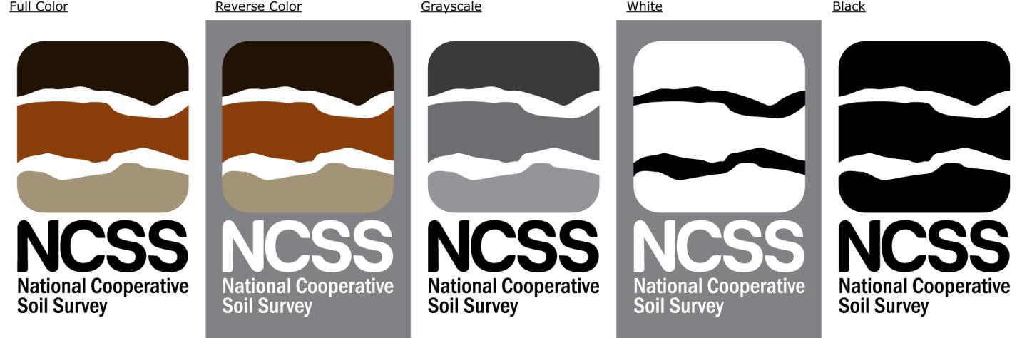 NCSS Logos in five color variations.