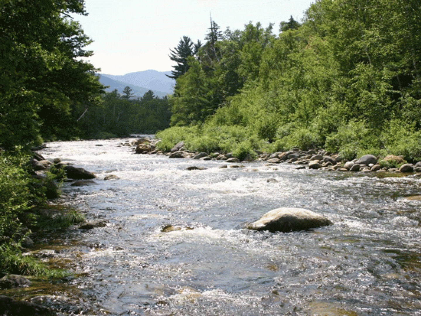 Vermont River