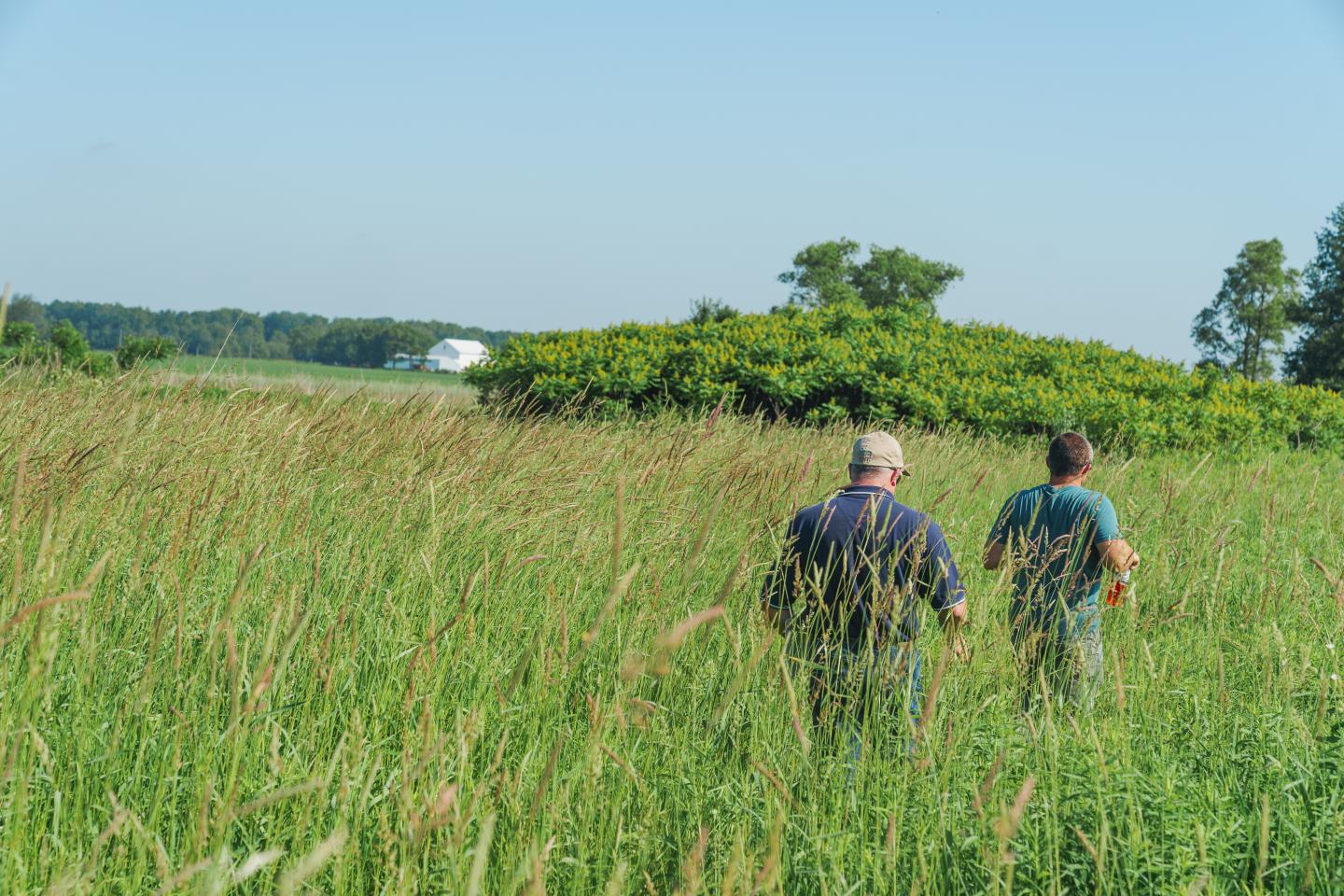 John Bellman (front) gives a tour of his Wetland Reserve Easement in Marshall County, Indiana to Troy Manges, Indiana NRCS district conservationist, on June 14, 2022.