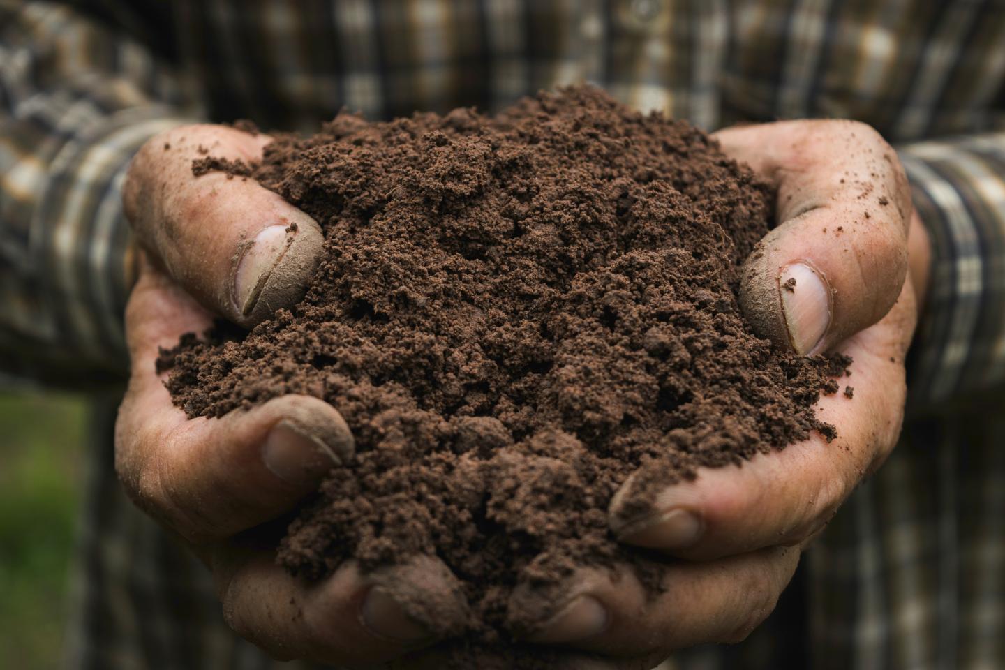 Person holding up handfuls of soil together in both hands