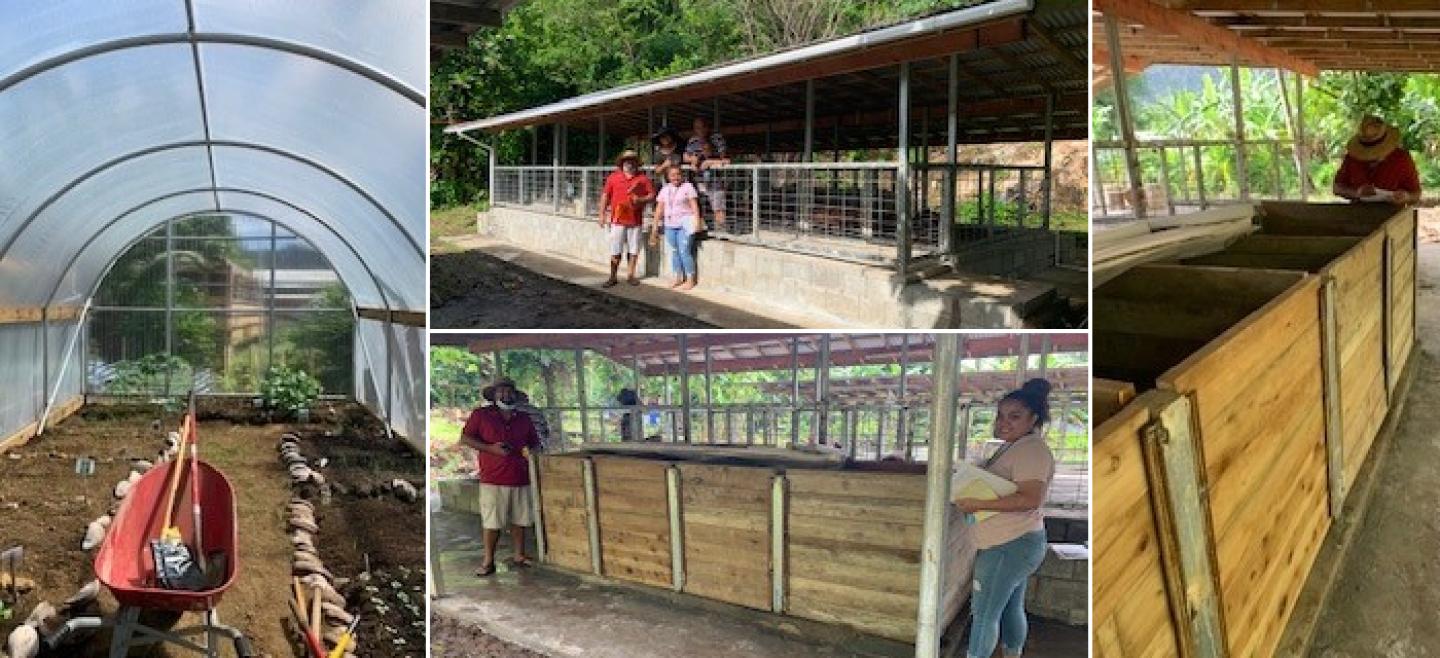 Small piggery operations and High Tunnels set up in American Samoa.