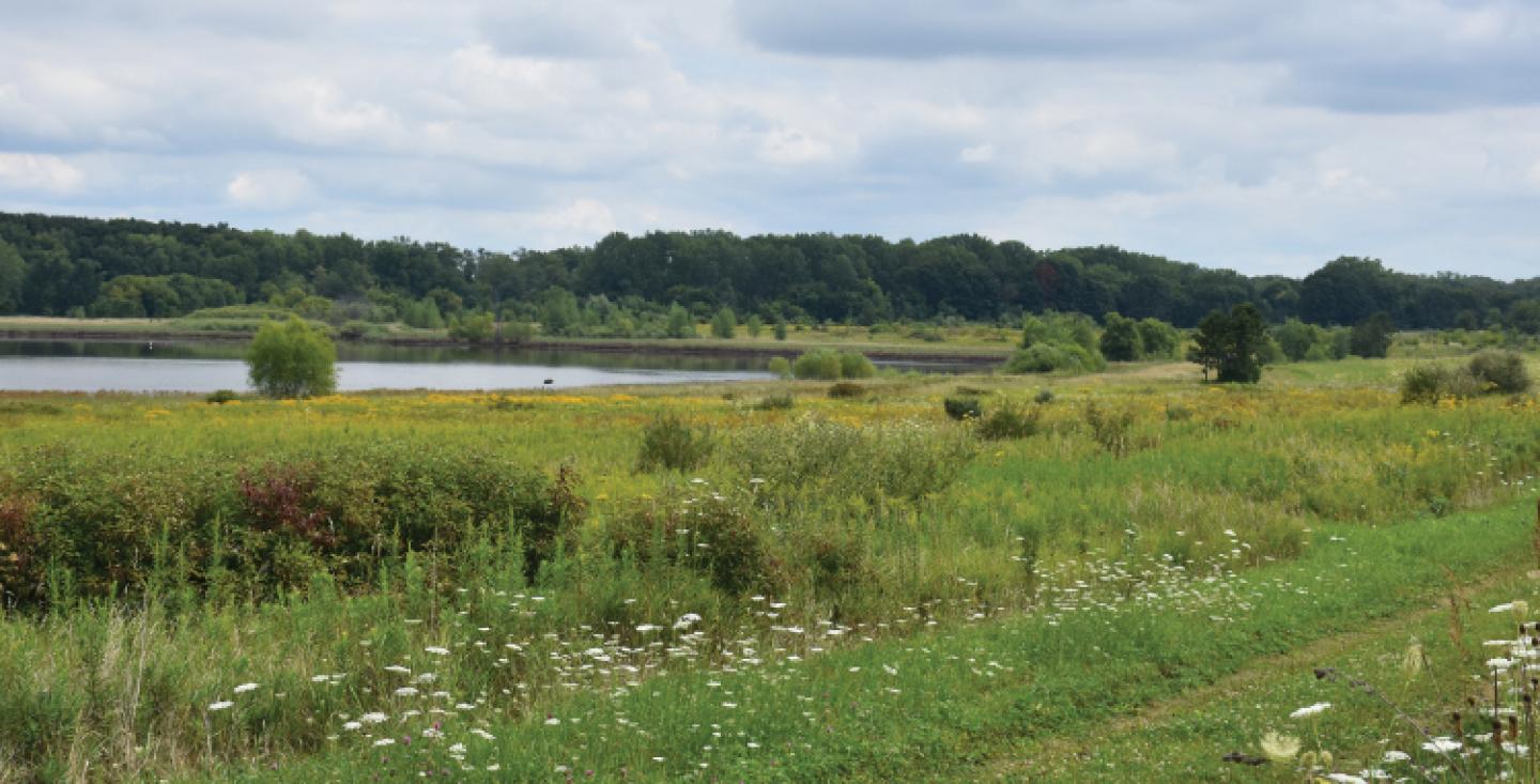 Field in foreground of small body of water and run of trees on the horizon