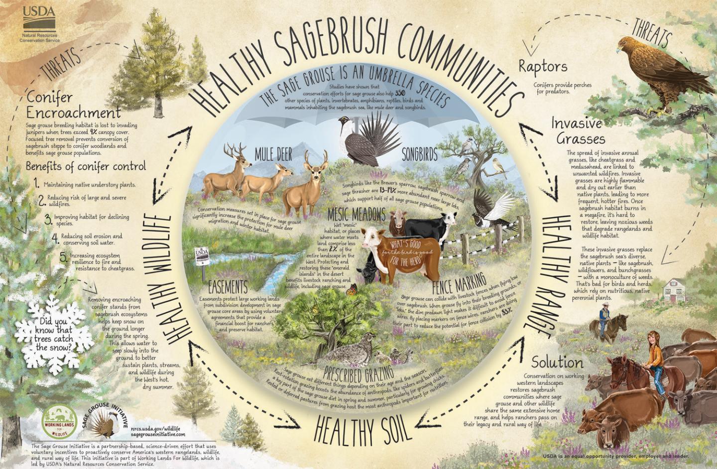 Healthy Sagebrush Communities Poster