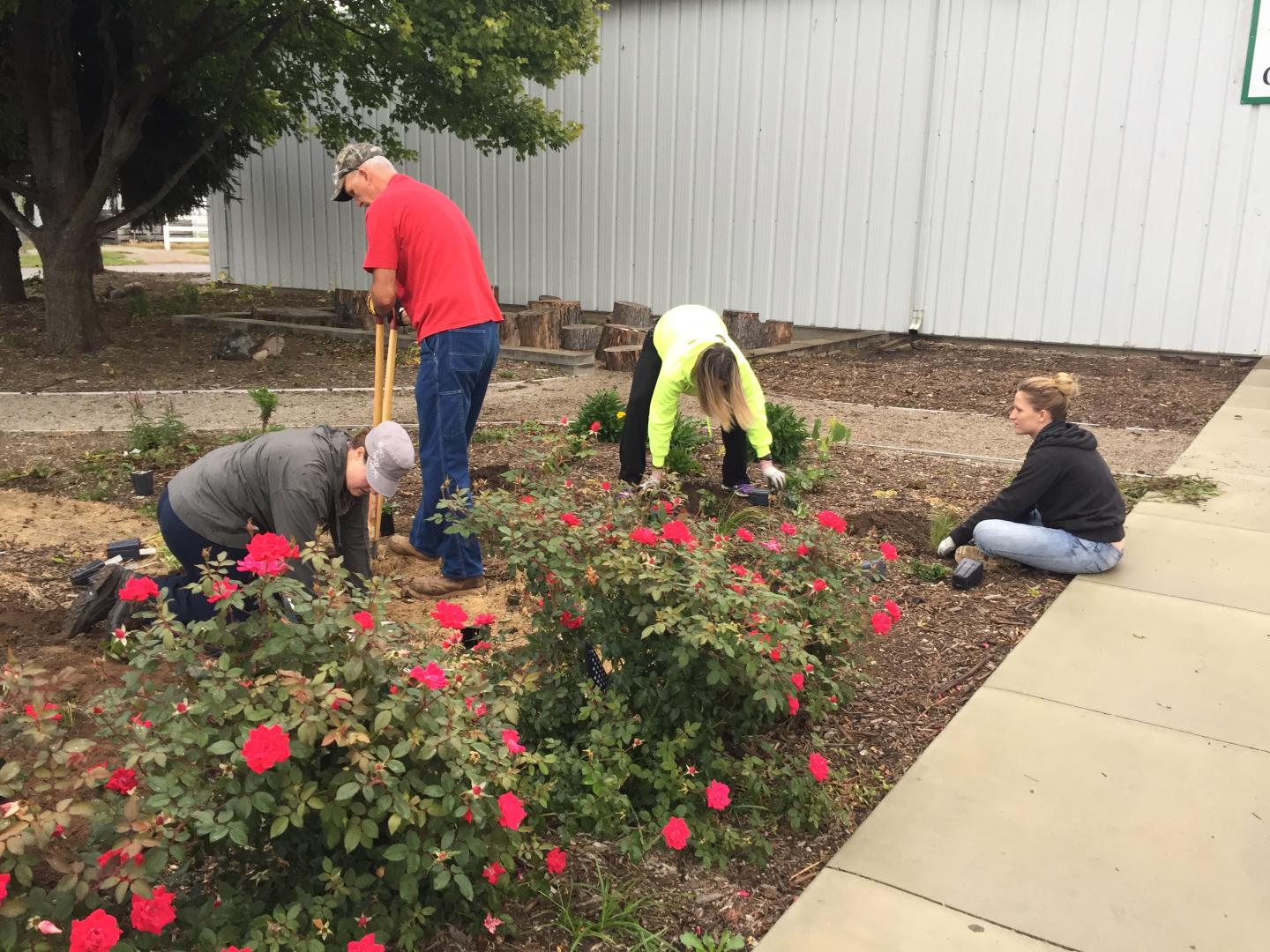 Volunteers plant native plants along Conservation Corridor Pathway