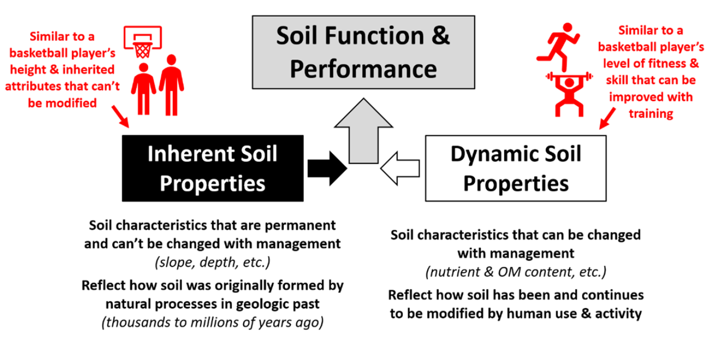 Soil Function & Performance Diagram - VA NRCS