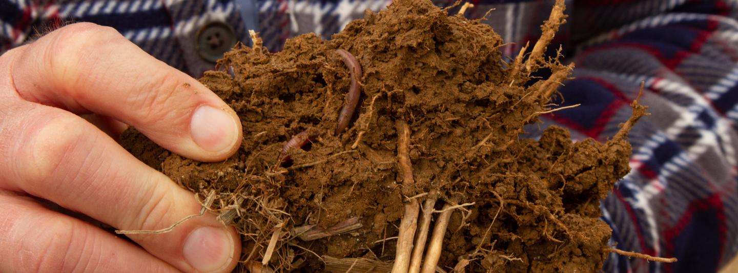 Soil-with-earth-worm