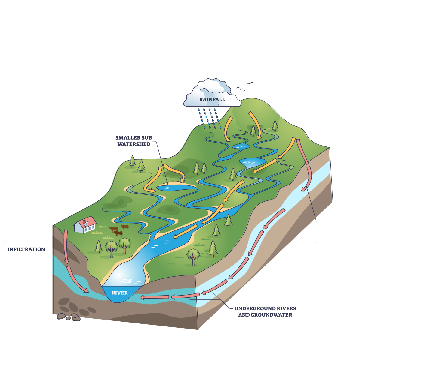 How Watersheds Work