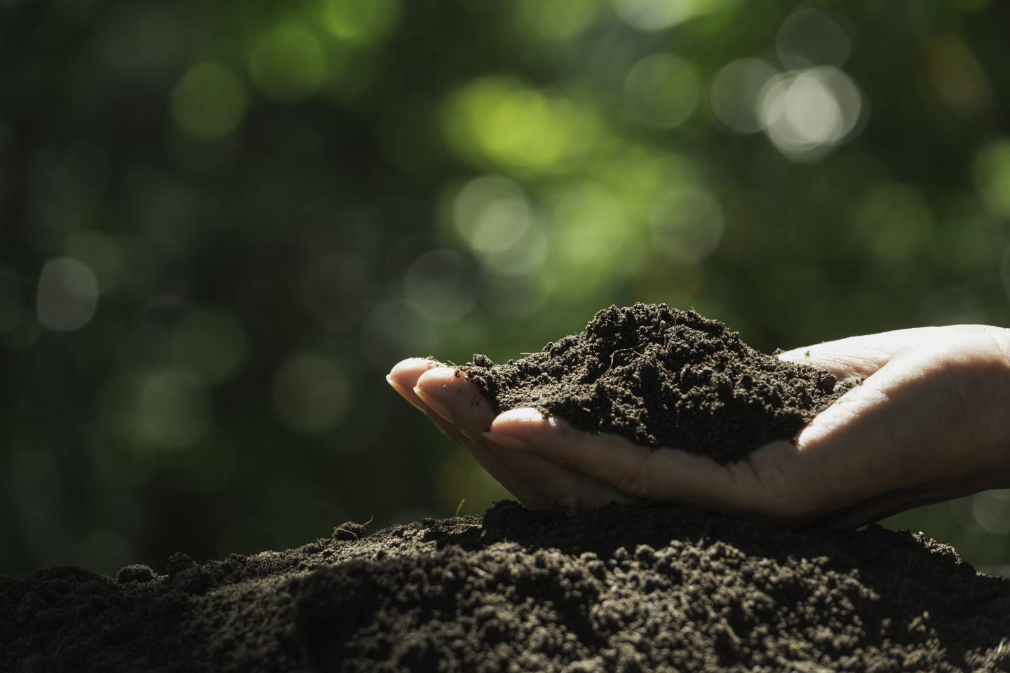 A hand holds soil above the ground. 