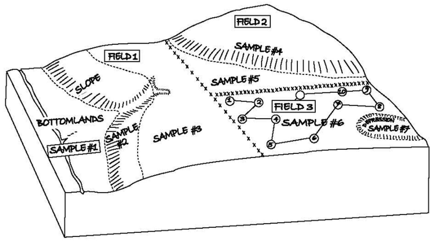 Diagram showing the soil sampling process based on the landscape of the farm.