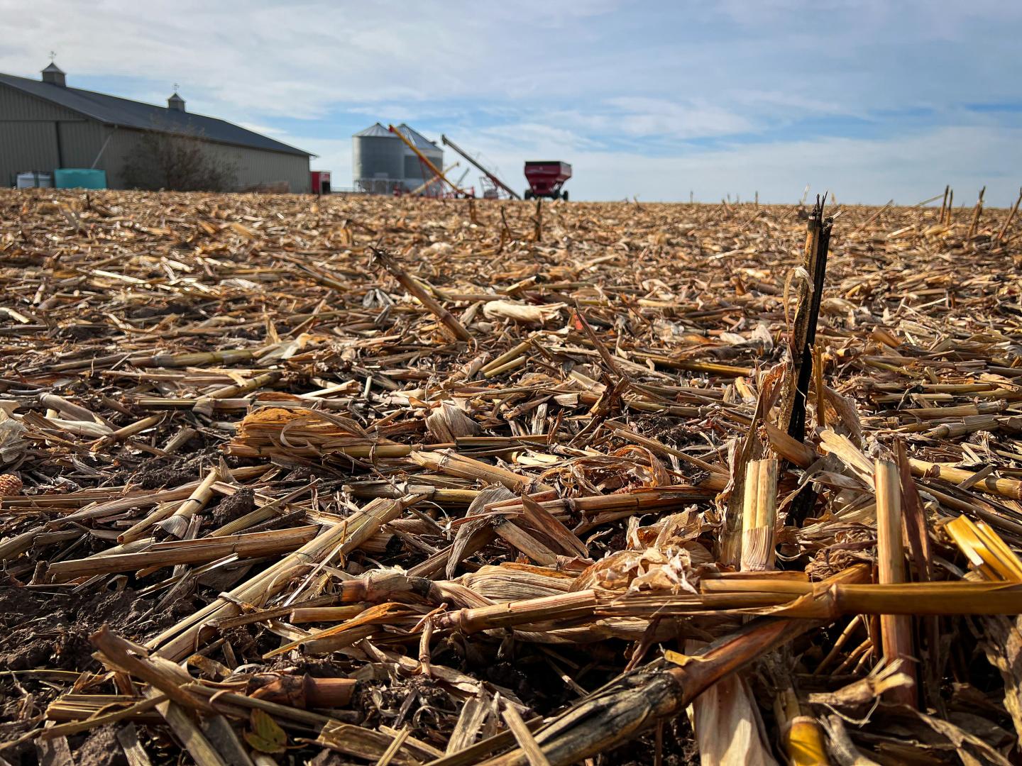 Crop residue on corn field in Fremont County, Iowa.