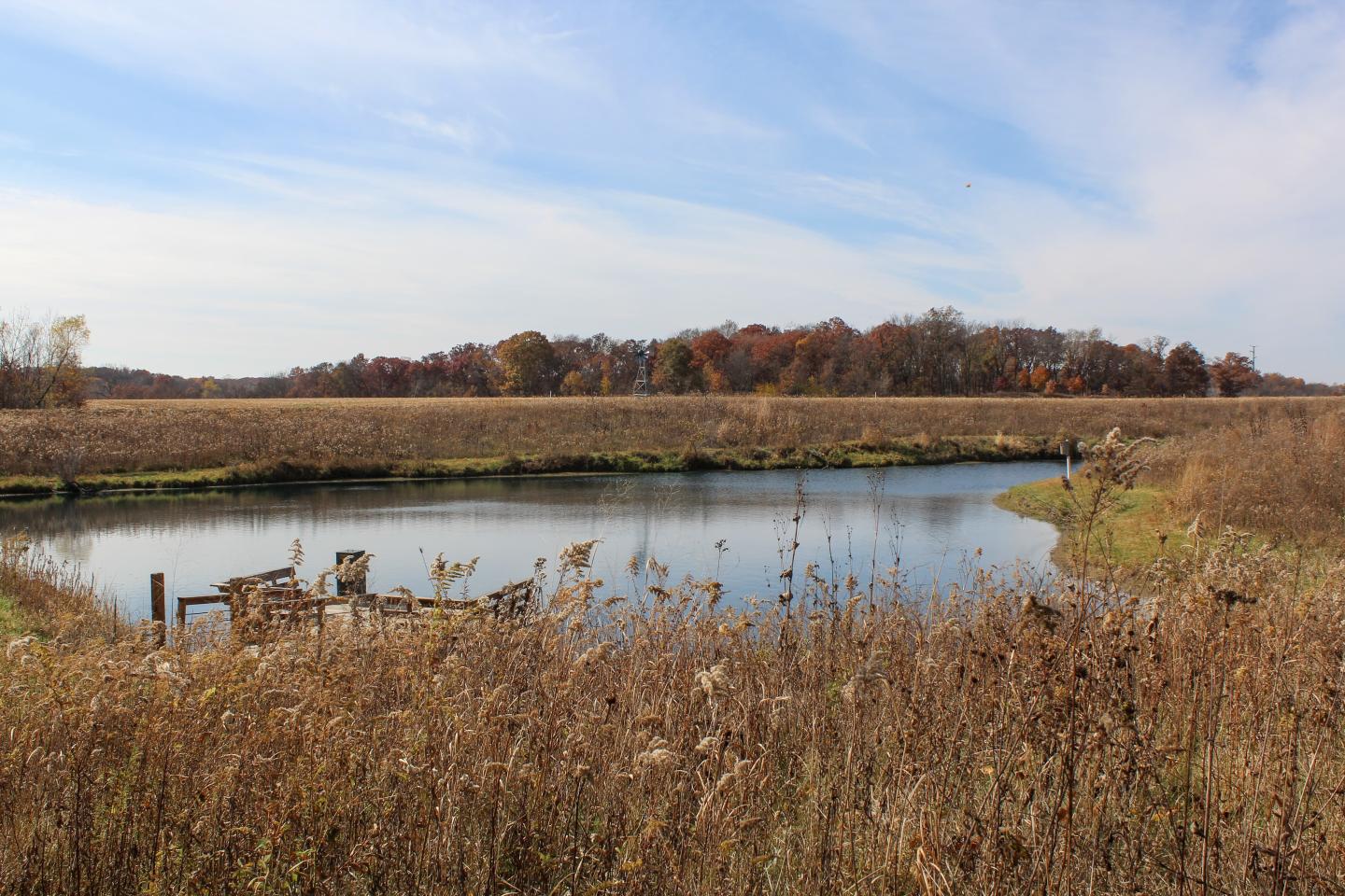 landscape view of pond, grasses, and cropland