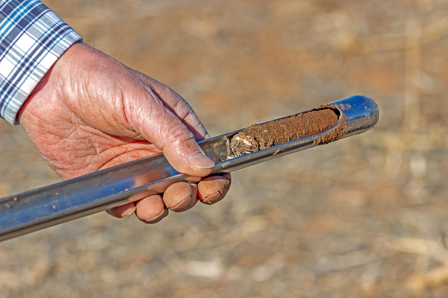 Soil Sample