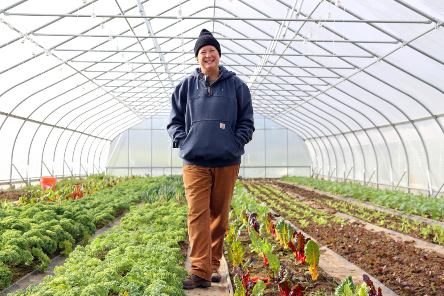 Farmer Jan Johnson stands in a high tunnel with crops.