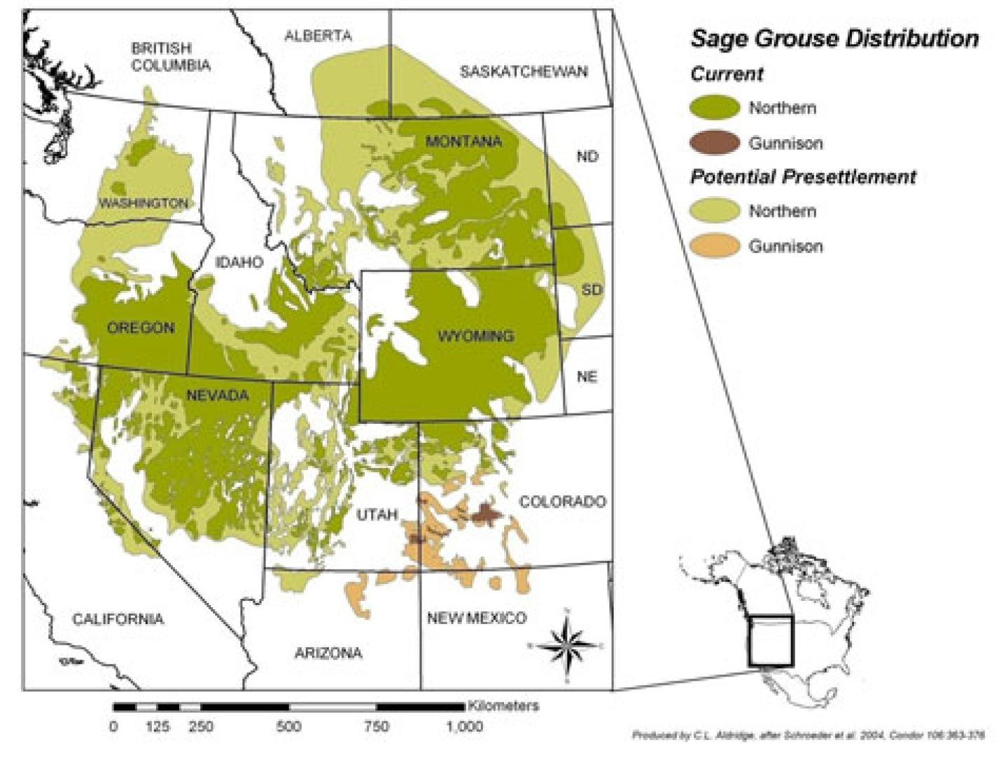 Sage Grouse distribution map