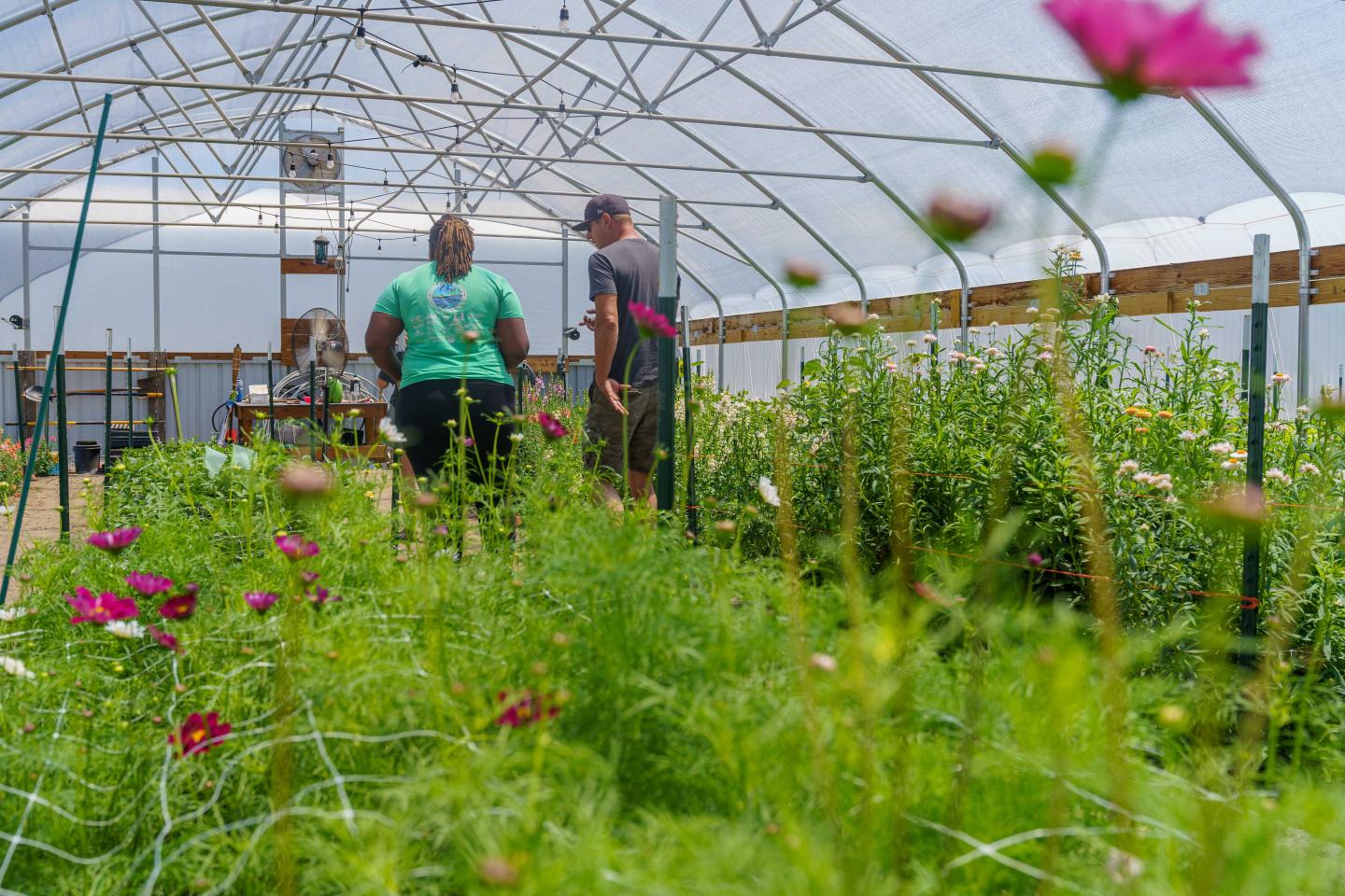 Sydney Lockett (left), district conservationist with USDA’s Natural Resources Conservation Service, and Nick Kleiman, who operates Floral Compass Flower Farm in Fountaintown, Indiana along with his wife, talk about the farm’s high tunnel during a visit to the farm June 28, 2022.
