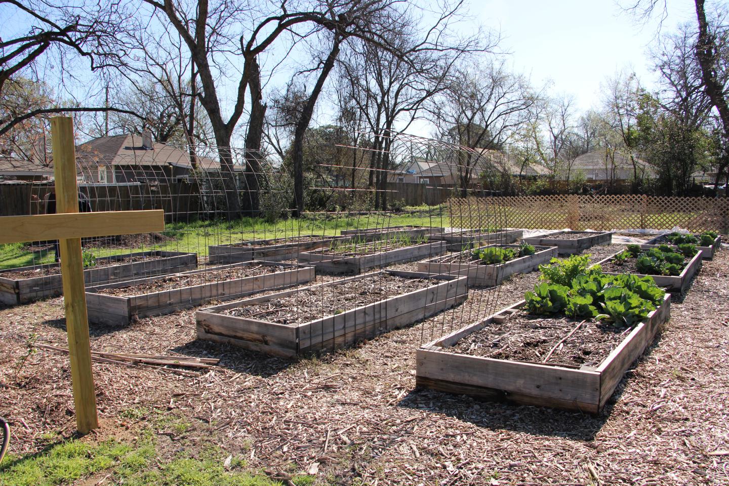 Two Raised Garden Beds 