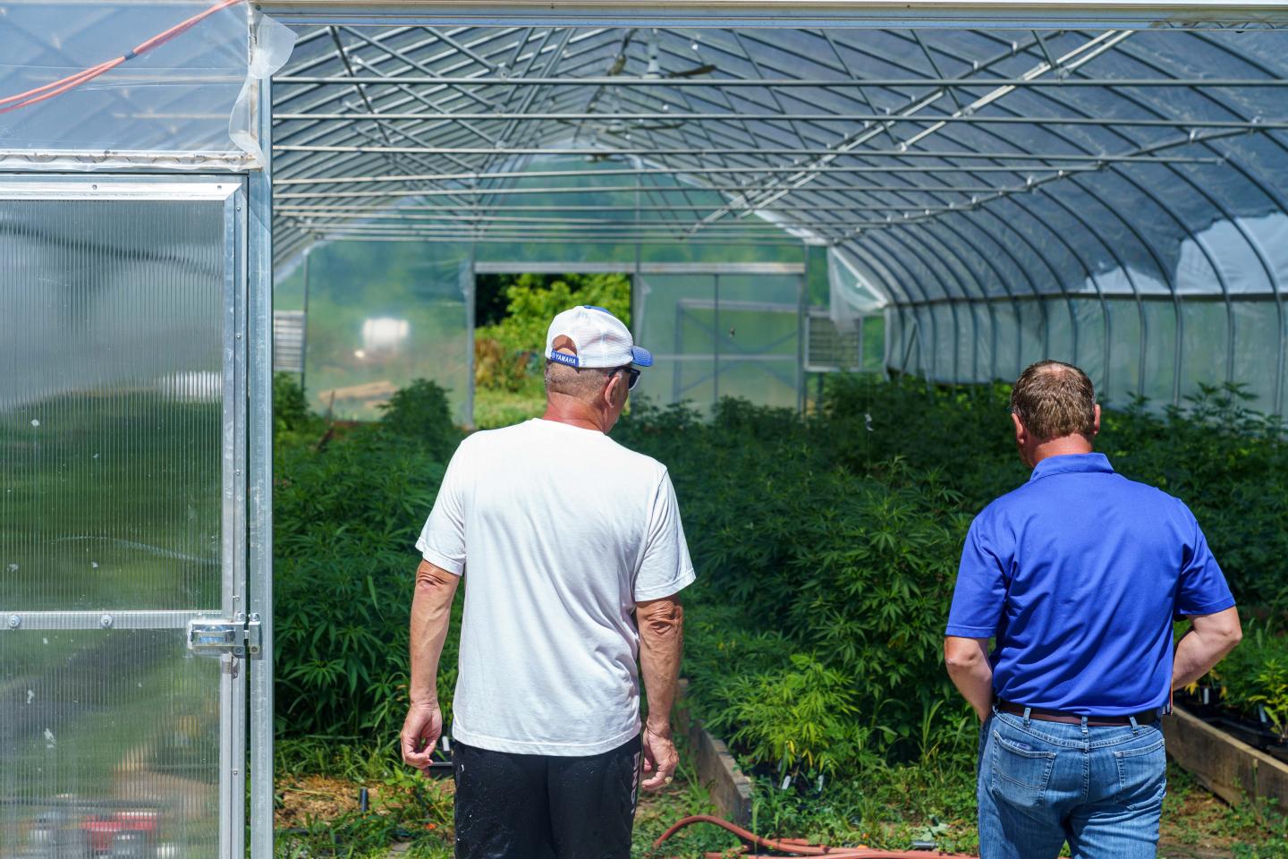Jeff Garland (left) gives Indiana NRCS district conservationist Lee Schnell a tour of Papa G’s Organic Hemp Farm in Crawford County, IN June 23, 2022.