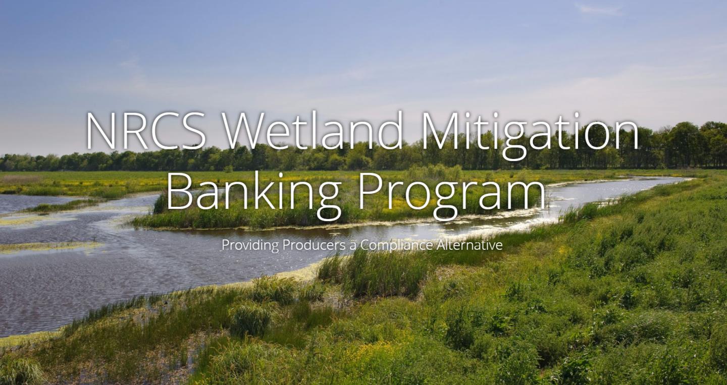Image of wetlands with text - NRCS Wetland Mitigation Banking Program, Providing producers a compliance alternative