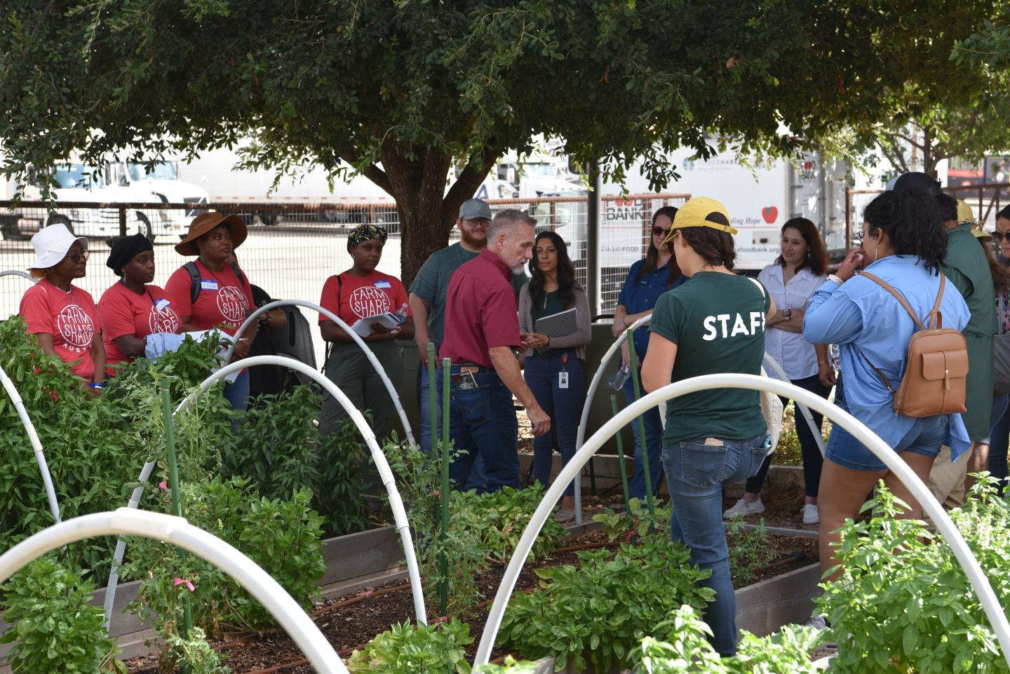 Topics of discussion covered many areas concerning urban agriculture, including fruit and vegetable production.  This session was held at the raised bed area of the San Antonio Food Bank.   
