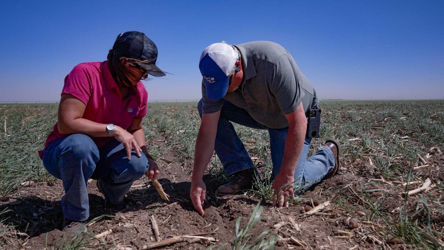 NRCS Texas employee check the soil health and soil moisture with farmer Bryce Williams.